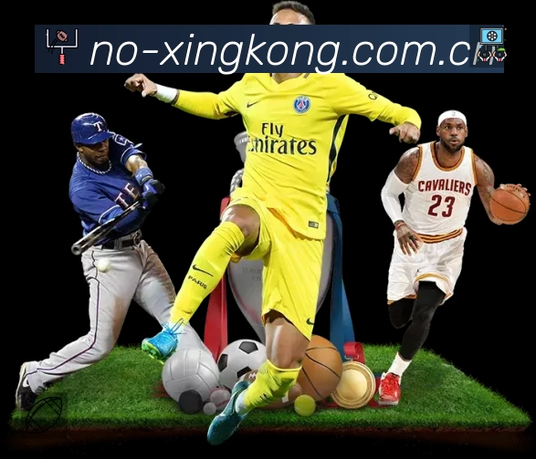 XINGKONG星空体育 体育赛事与数据服务平台